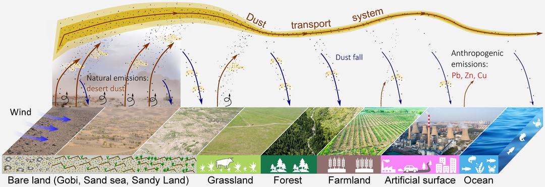 以微见大窥探沙尘暴背后的秘密