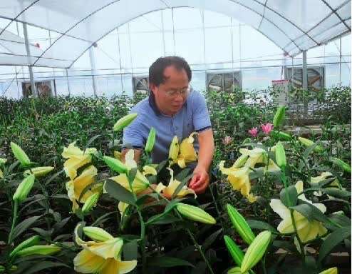 直播预告 明早9点2025年度中国国际花卉园艺展览会即将启幕！百家乐