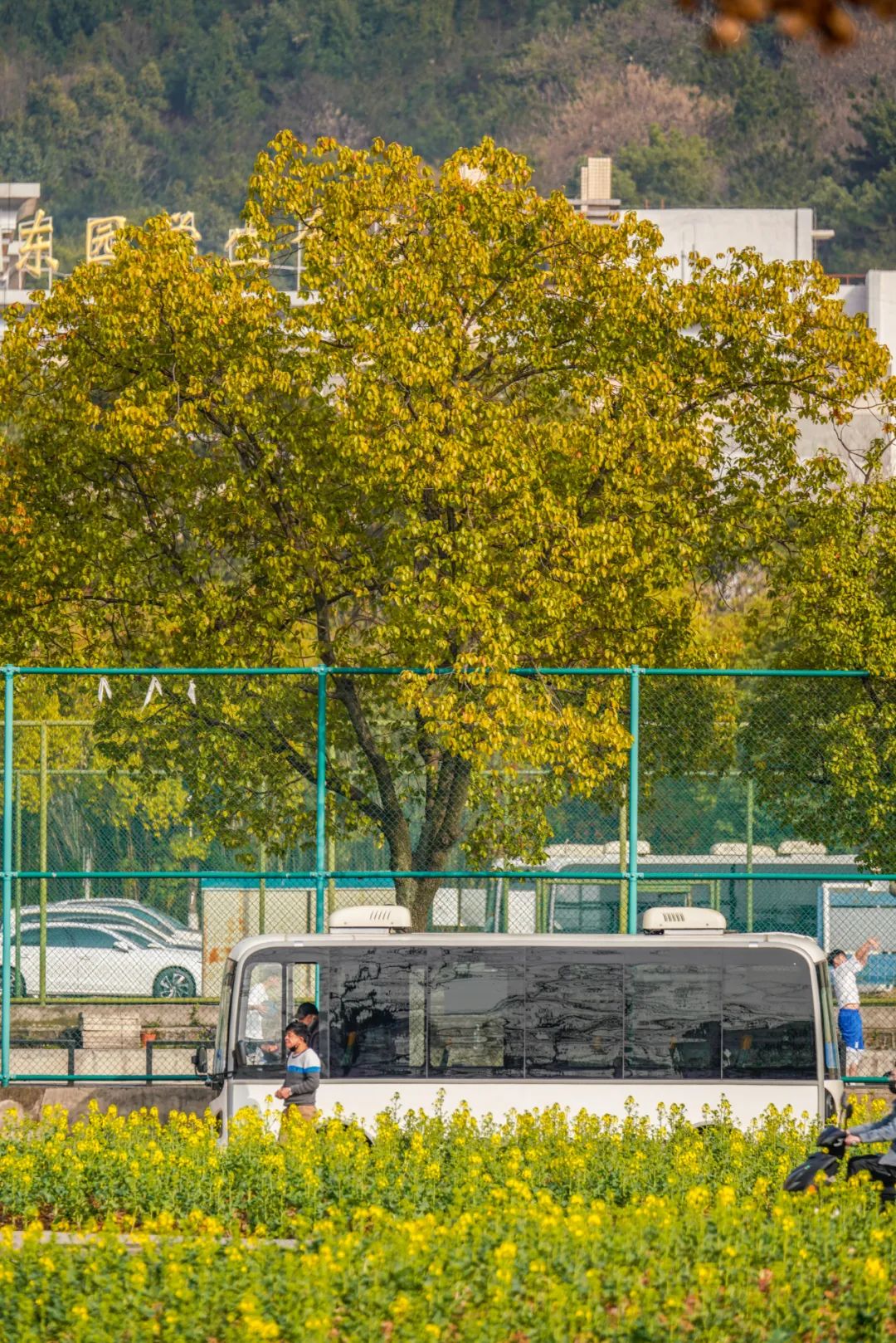 华中科技大学有才华满屏溢出