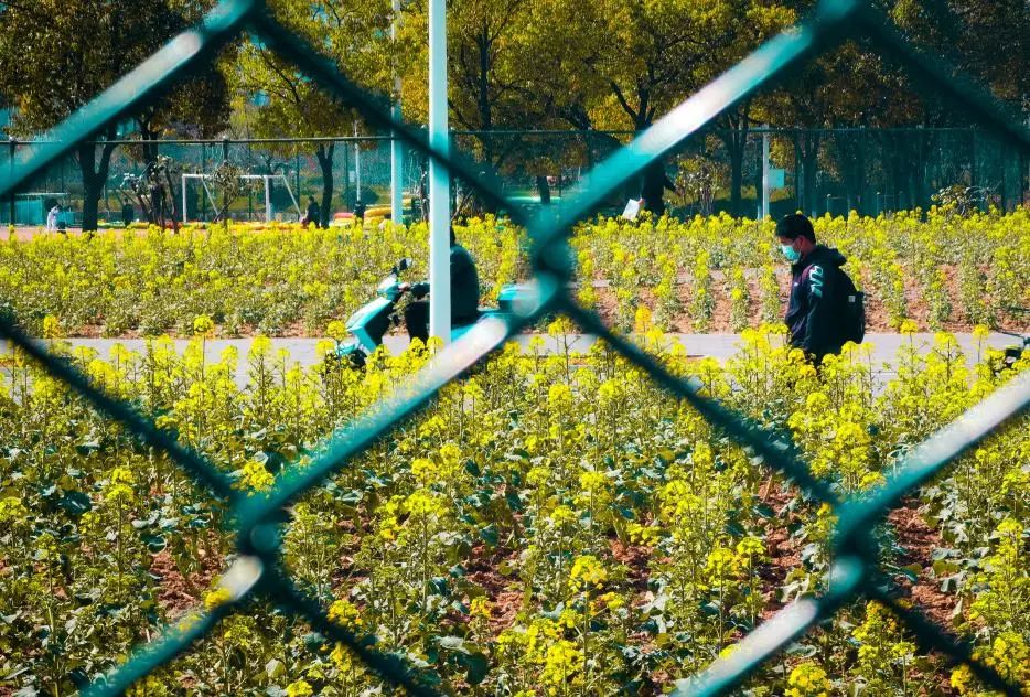 华中科技大学有才华满屏溢出