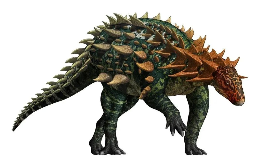 动物研究团队在亚洲早侏罗世地层中发现迄今最完整的覆盾甲类恐龙骨架
