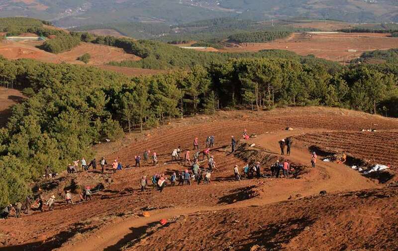 昭通巧家县2022年种植28万亩马铃薯，预计产值8亿元，是该县优势主导产业。 巧家县融媒体中心供图