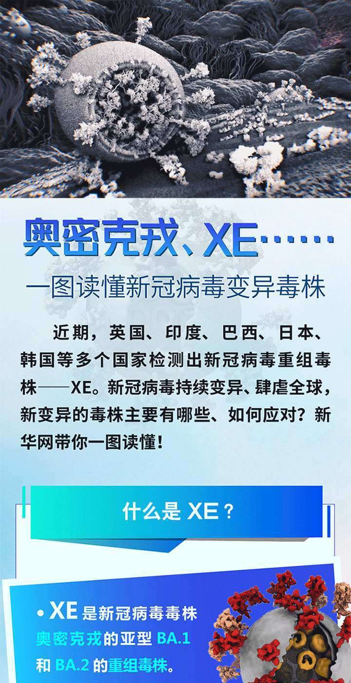 奥密克戎 Xe 一图读懂新冠病毒变异毒株