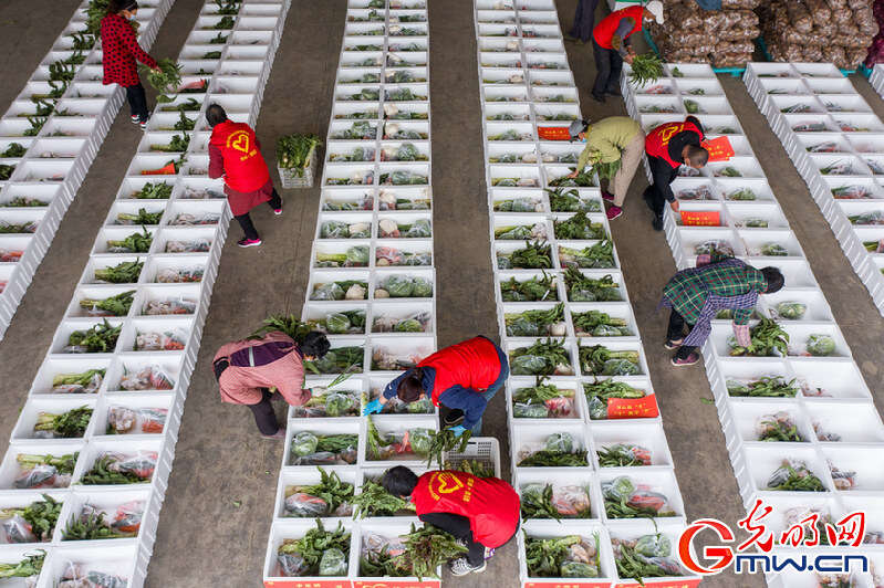 【组图】“守沪者联盟”丨江苏海安：150吨蔬菜驰援上海