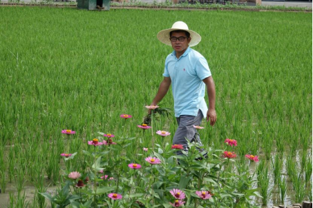 信息学院刘占宇的理想与实践建立水稻生态工程让中国人吃得更好