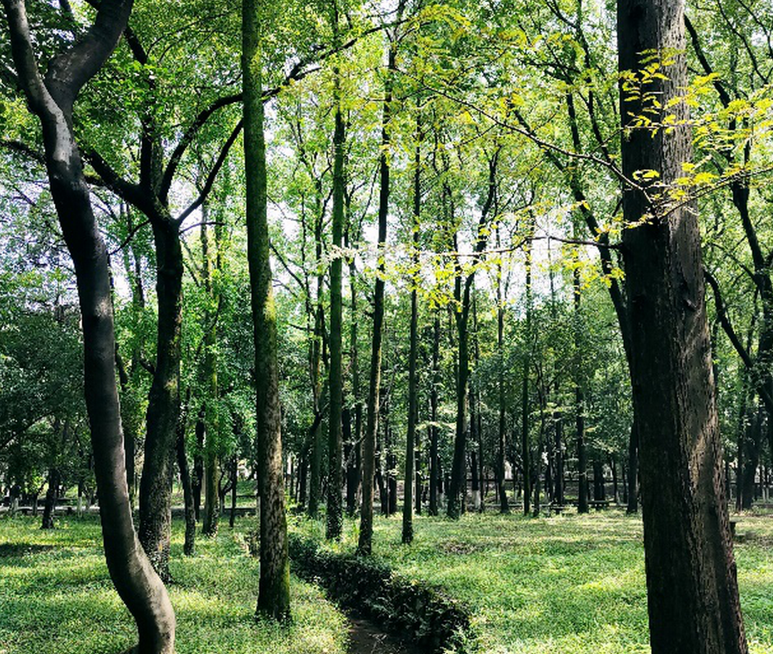 在华中科技大学想你的365天