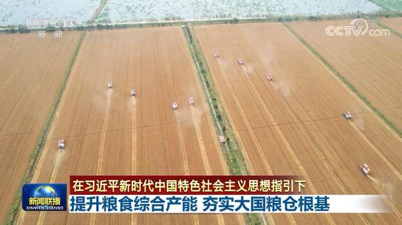 2024，盘点“大国粮仓”米袋子