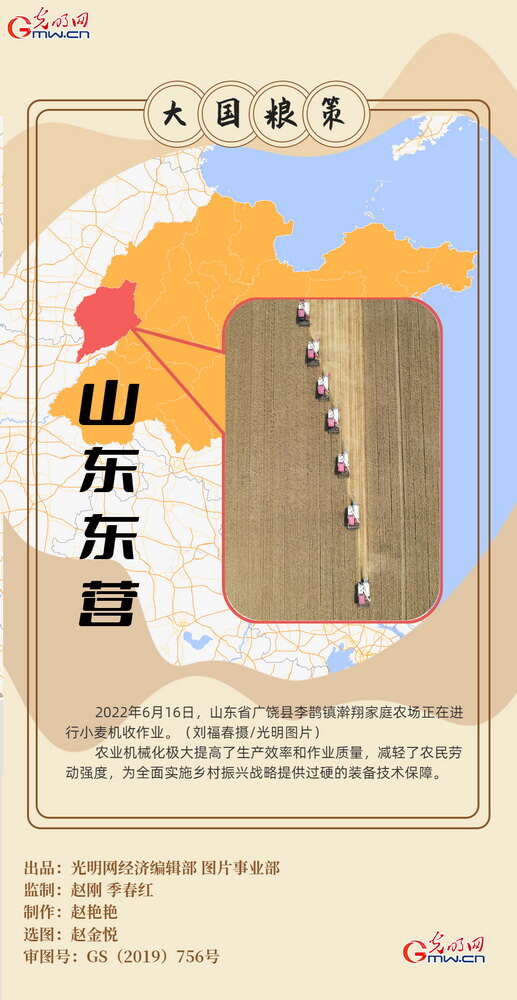 【大国“粮”策】创意海报丨全国小麦收获逾九成 又到夏粮好“丰景”