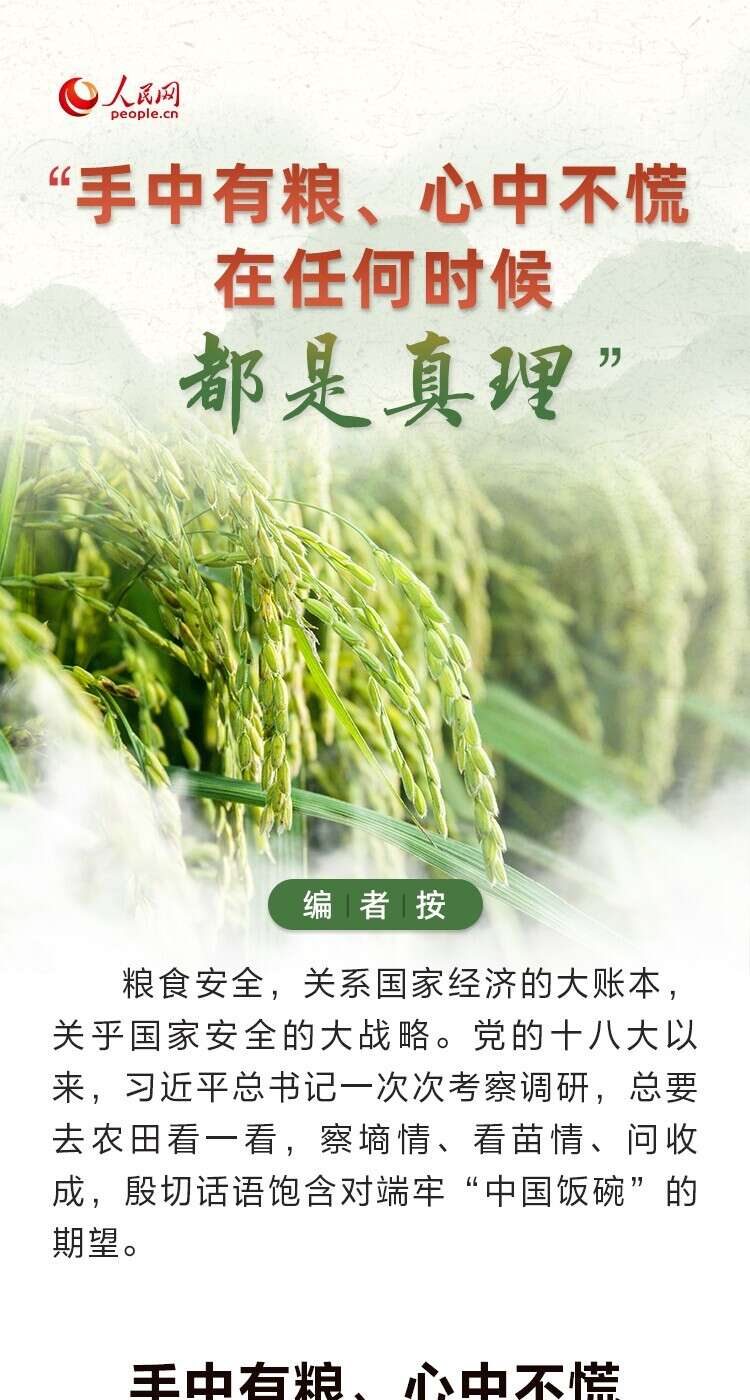 大国粮策手中有粮心中不慌在任何时候都是真理