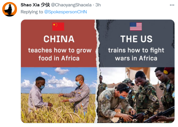 中国在非洲教人们怎样种粮食 vs 美国在非洲教人们怎样打仗还有网友