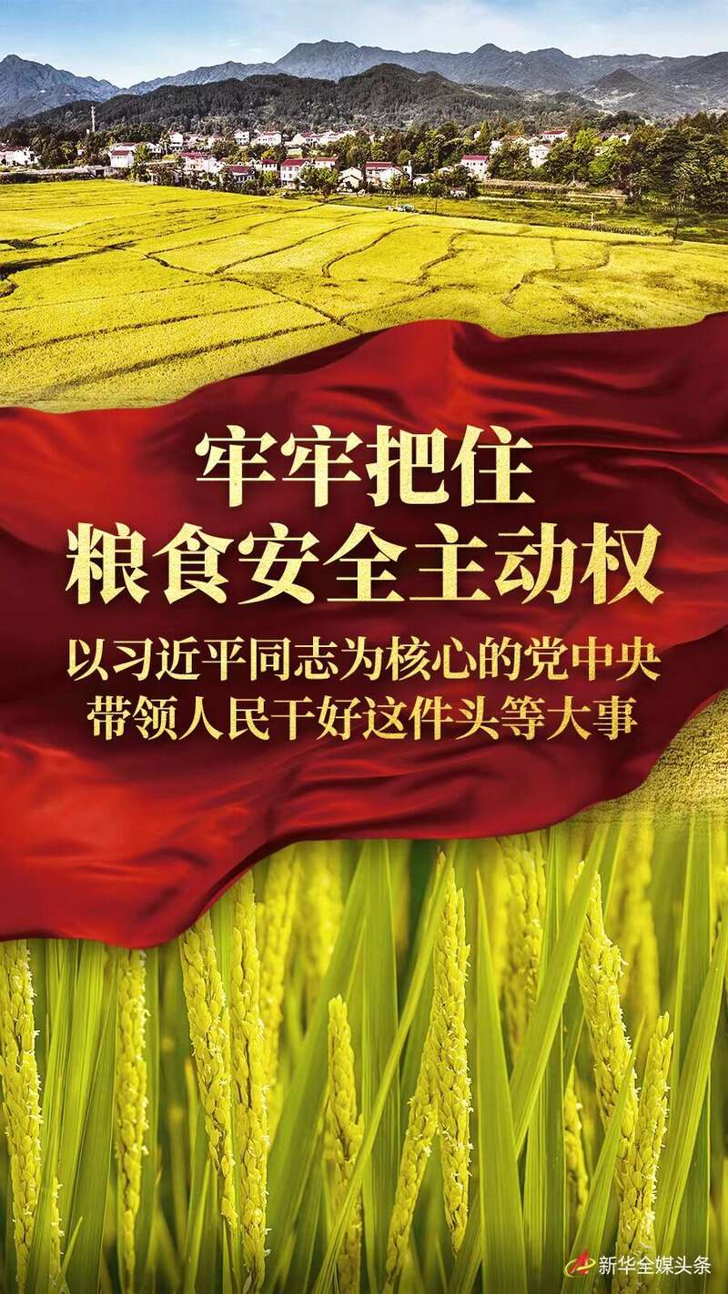 牢牢把住粮食安全主动权——以习近平同志为核心的党中央带领人民干好这件头等大事