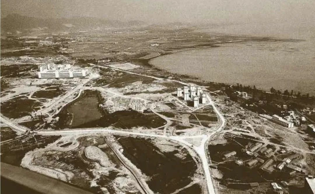 在这个重要的日子里 让我们一起点亮深大