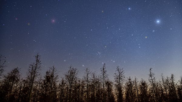 立法守护暗夜，让璀璨的星空不再遥远