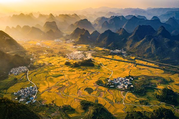 广西百色稻浪翻滚德保县水稻迎来丰收季