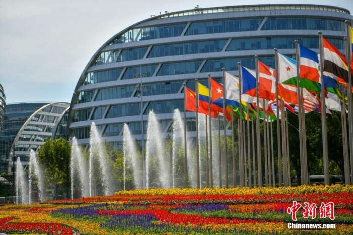 第五届进博会场馆景观装饰全面定妆。 陈梦泽 摄