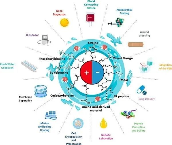 leyu乐鱼手机版官网高水平综述文章！天大化工学院教师《Chemical Rev(图1)