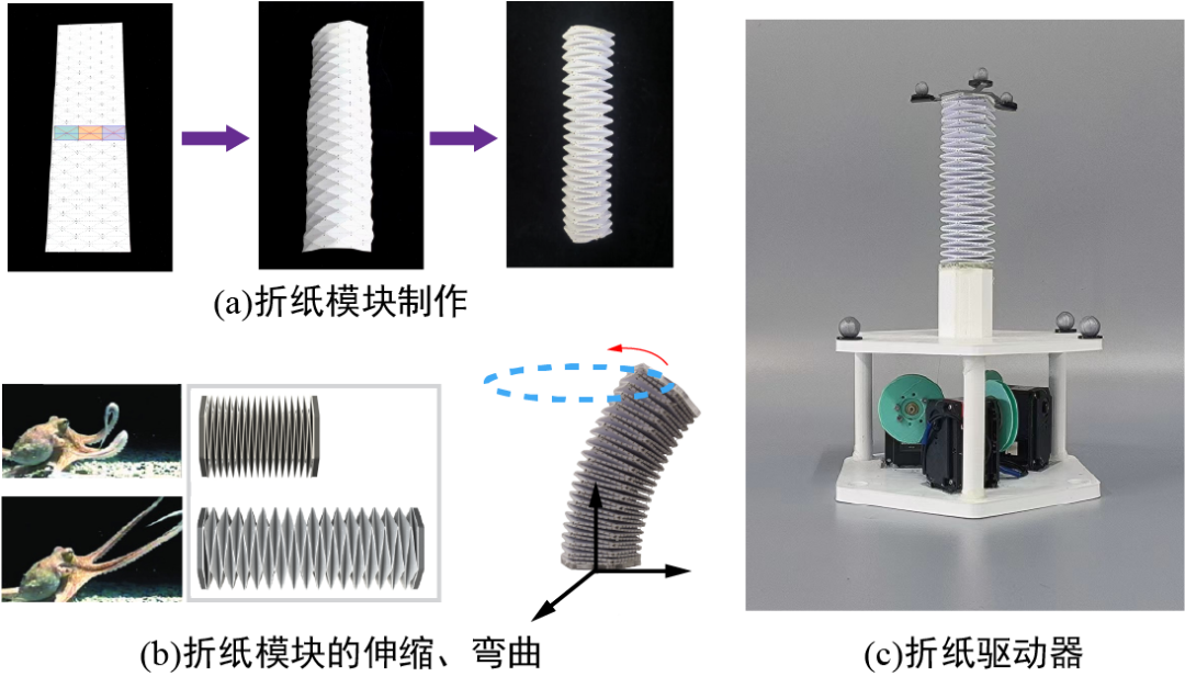 南开这款折纸机器人，国际获奖！