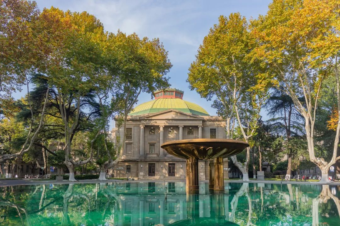 东大西安交大最美梧桐加强版来啦