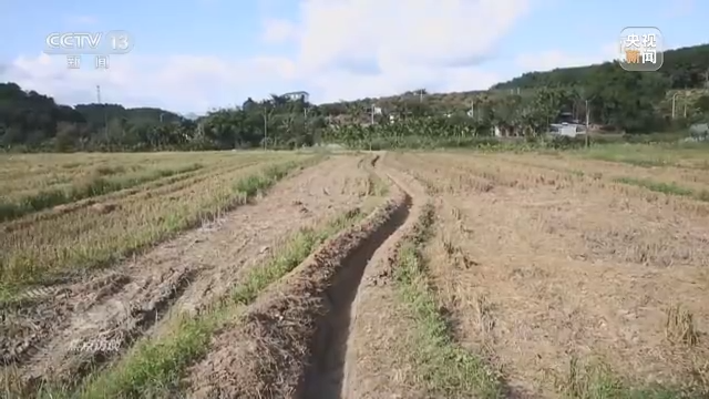 致富三农种植_三农致富经_致富三农视频