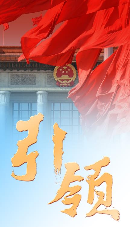 引领从党的二十大看中国共产党的成功密码之一