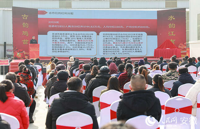 花桥村党组织领办合作社迎来首个分红大会。人民网 张俊摄
