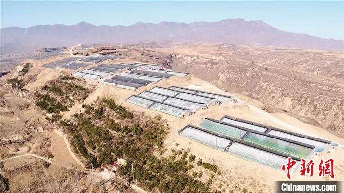 （新春走基层）山西：探索中国式农业农村现代化岚县经验