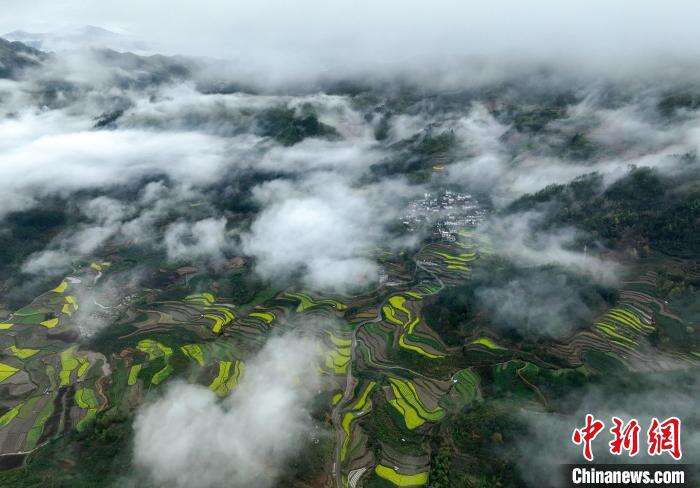在安徽省黄山市徽州区呈坎古村拍摄的雨后春景。(无人机照片) 施亚磊 摄