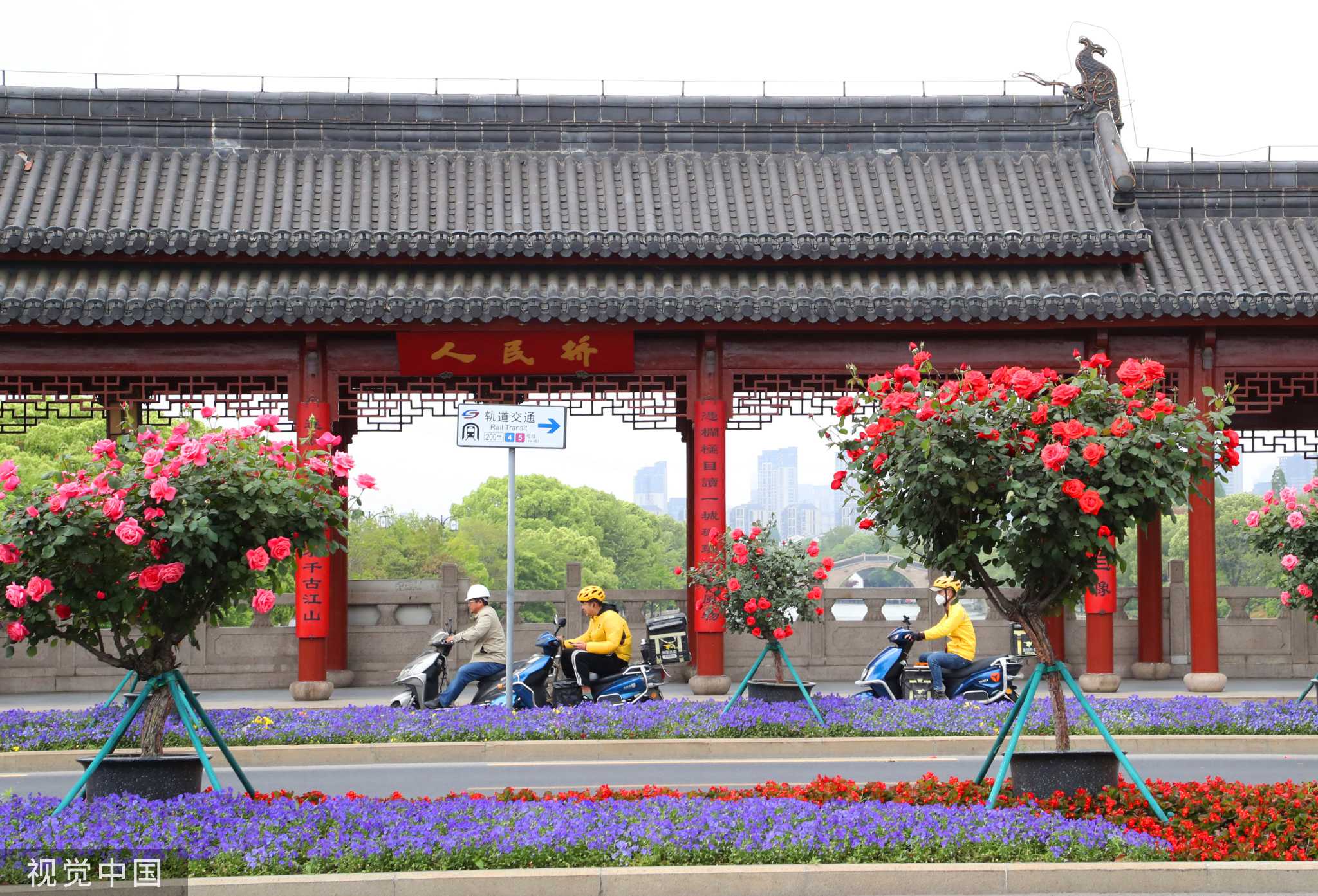 苏州临湖镇花漫四季图片