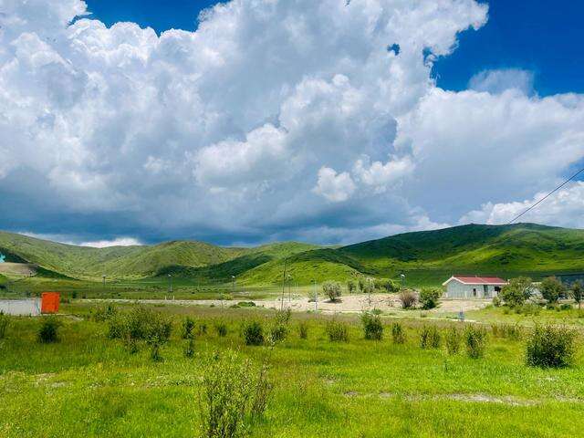 走在红原县牦牛现代农业园区里,就像身处童话故事, 蓝天白云之下,草原