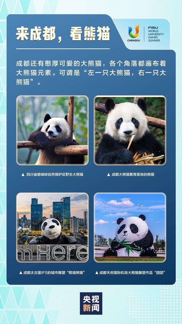 成都街头走一走 遍地是“熊猫”!大运会3天倒计时 一起期待!