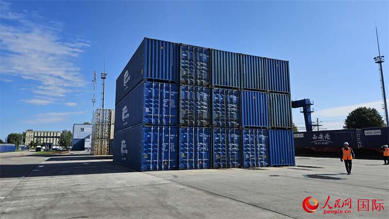 来自中国重庆的集装箱货物等待换装。人民网记者 王震摄