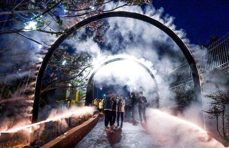 金年会沉浸式游览火了|美国猪ZOOM|展现文旅市场新需求