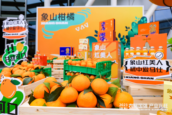 浙江象山：做好柑橘产业文章 让“红美人”“长红”(图3)