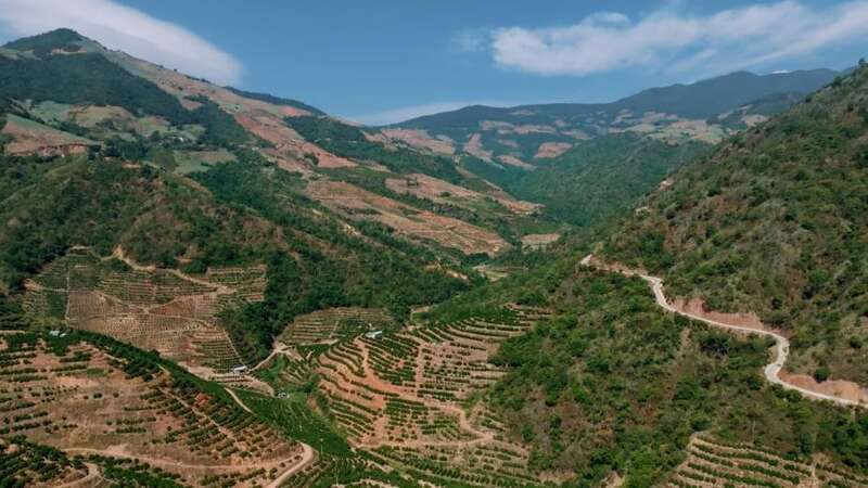 云南玉溪新平县漫山遍野的冰糖橙林.受访方供图