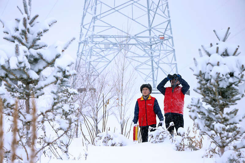 国网新疆电力员工巡检110千伏雪都金Ⅰ线。受访者供图