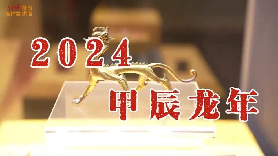 寻找博物馆里的“龙”