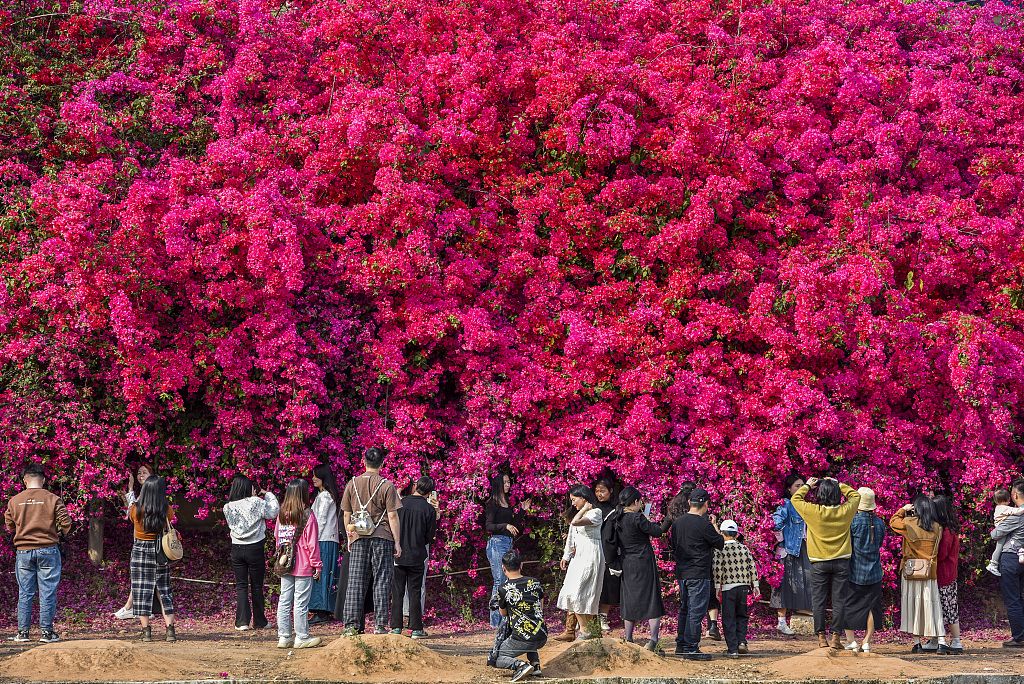 惠州三栋看花的景点图片