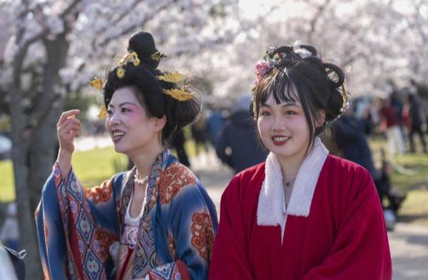 今年の新作から定番まで！ 唐装仕女“添彩”樱花季：中国游客在美国演绎“簪花仕女图” 絵画/タペストリー