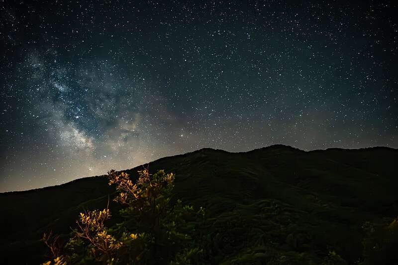 看天观星、森林吸氧：新增指数背后的北京生态逻辑