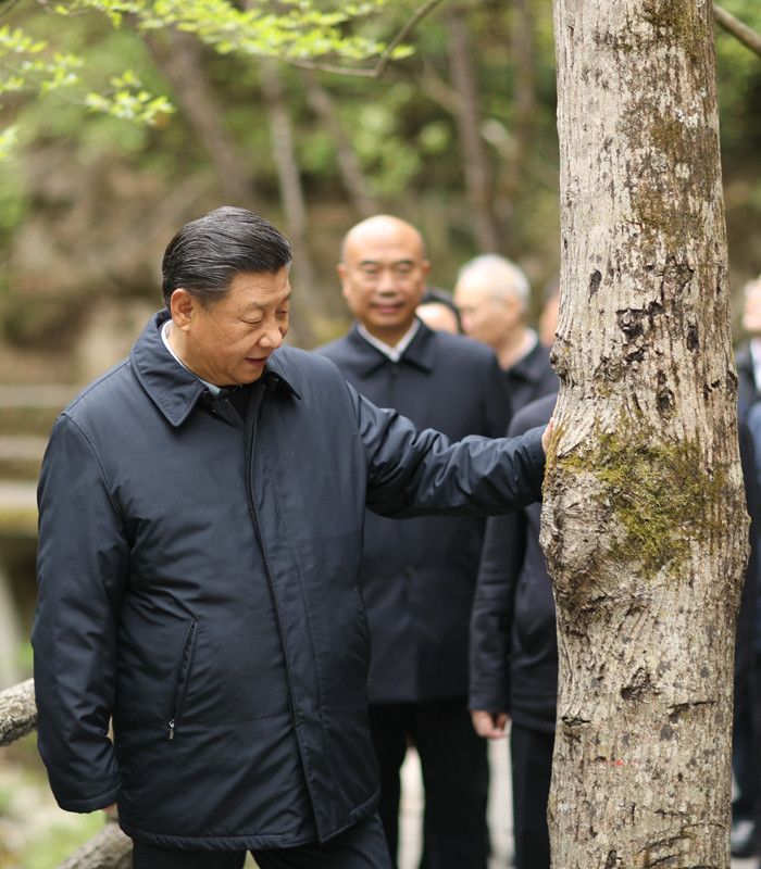 b体育app下载官网“人不负青山青山定不负人”(图2)