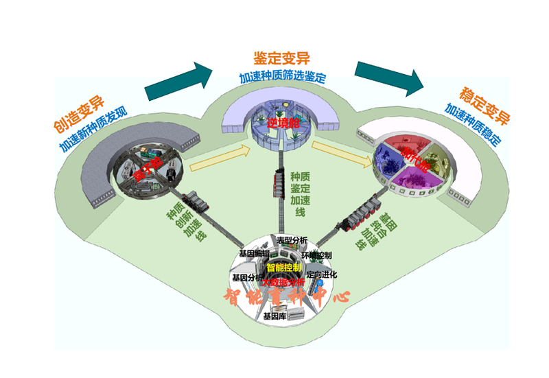 探源科技文化长河｜从躬耕农桑到智能育种一“种”力量不断生长