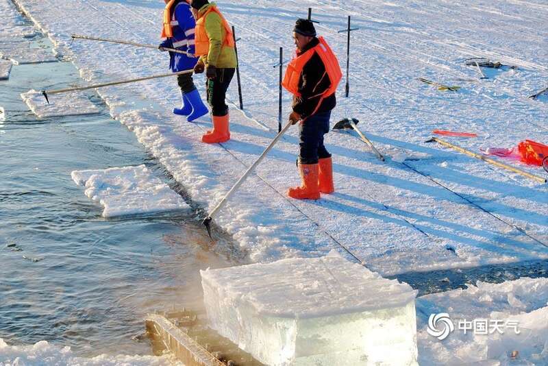 建成完工“尔滨”今冬首个大雪人“C伟德官网位出道”(图1)