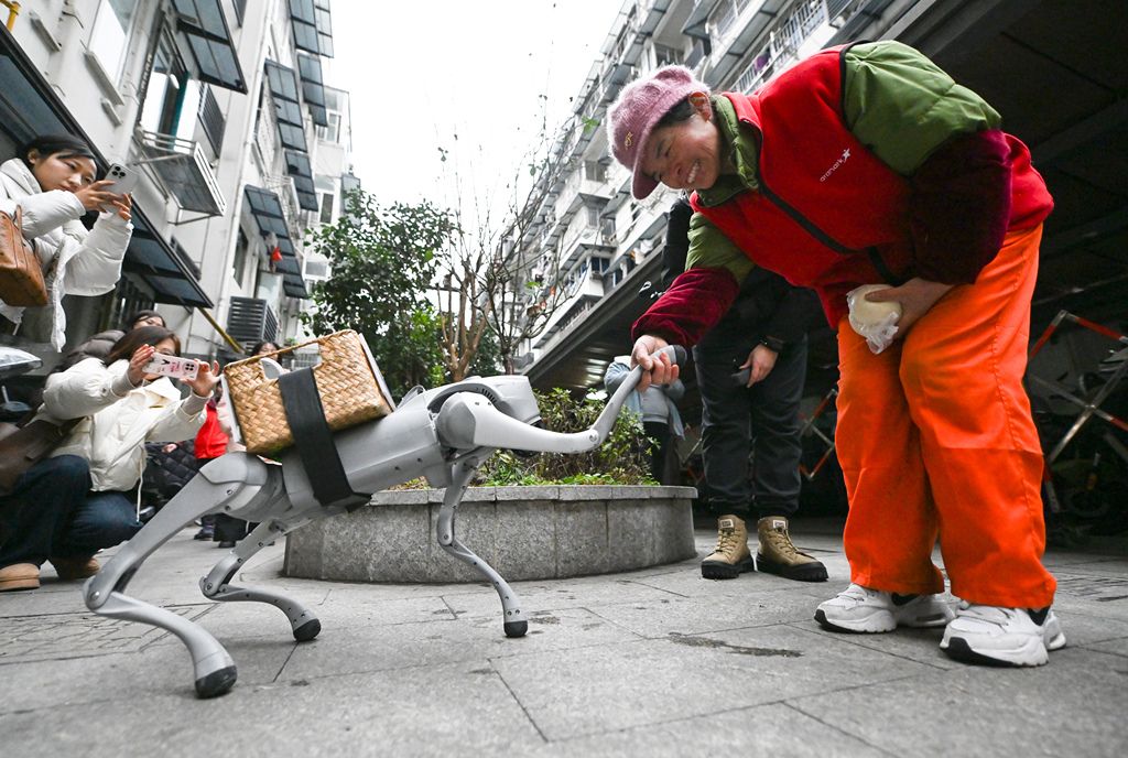 杭州：四足機(jī)器狗投入基層社區(qū)服務(wù)