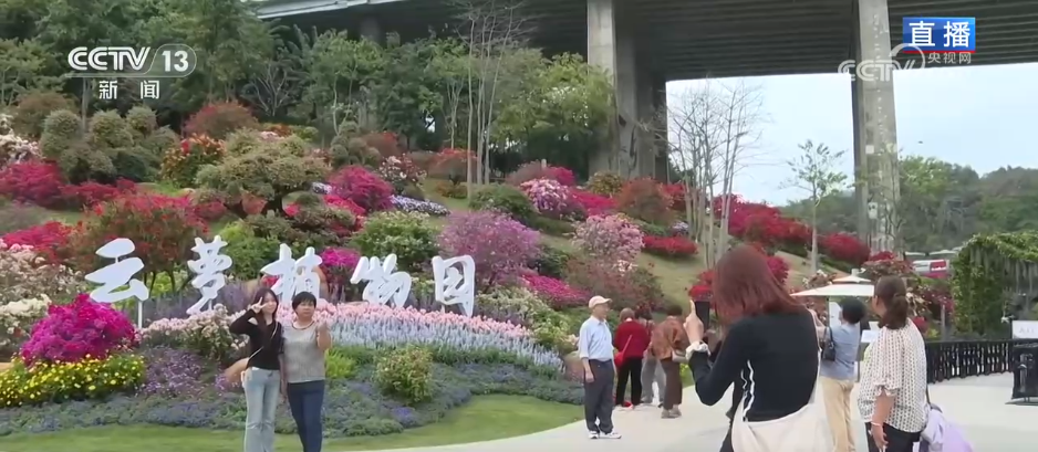 沉浸一竞技平台式感受春日花海独特魅力 “赏花经济”为乡村振兴“增香添彩”(图1)