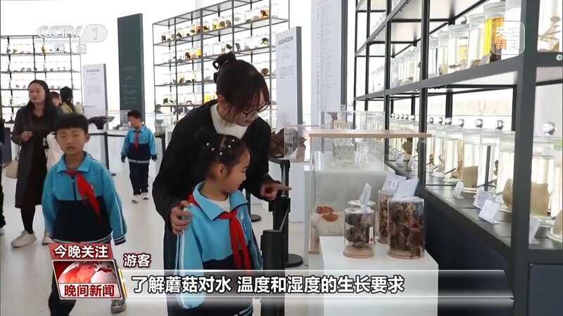 星空体育悬崖上的咖啡馆蘑菇尝鲜游清明假期这些旅行玩法很有趣(图6)