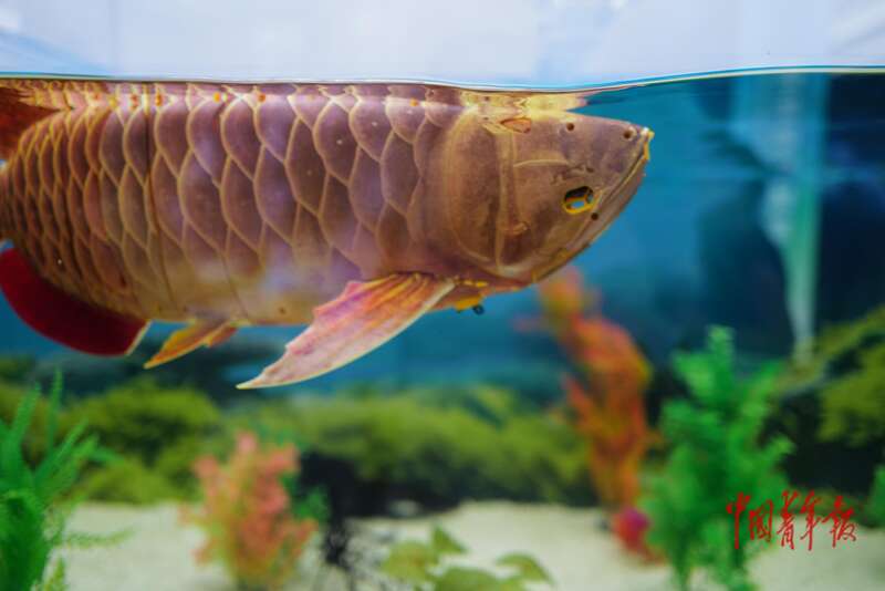 山东泰山3-0梅州客家,赛后再现we are one