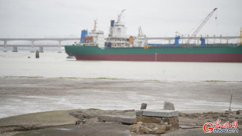 探秘海丝起点:重温刺桐盛世,赓续海丝文脉