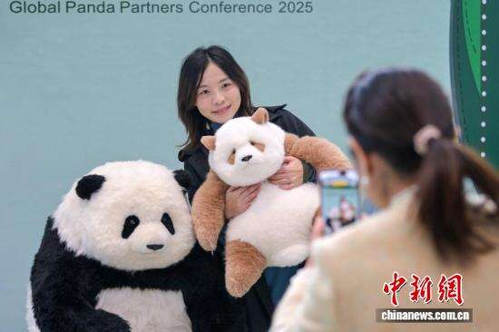 四川成都：“熊猫”齐聚2025全球熊猫伙伴大会
