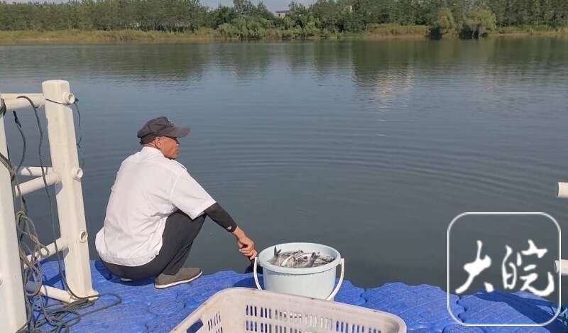 织密生态保护网守护江豚的微笑(图2)