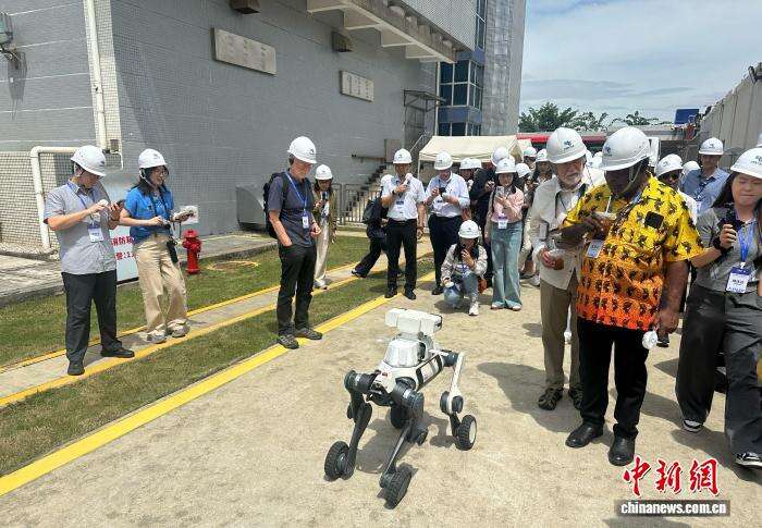 中国绿色能源转型为亚太产业合作提供新契机(图1)